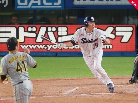 石川22年連続安打で日本記録樹立出典ヤクルト公式サイト20230523
